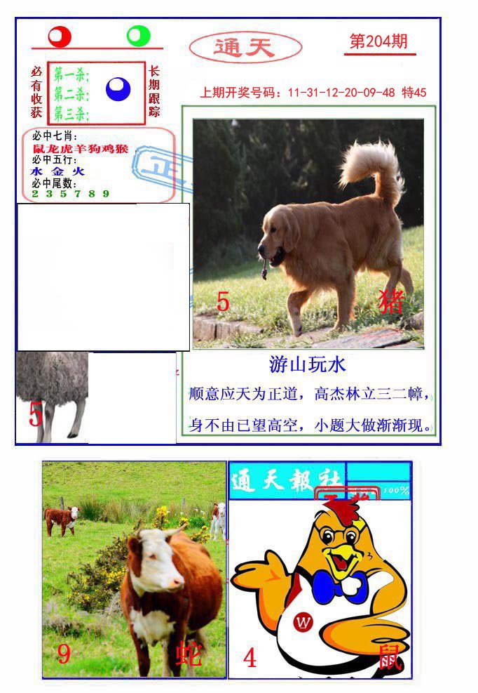 2024204期通天杀波图2