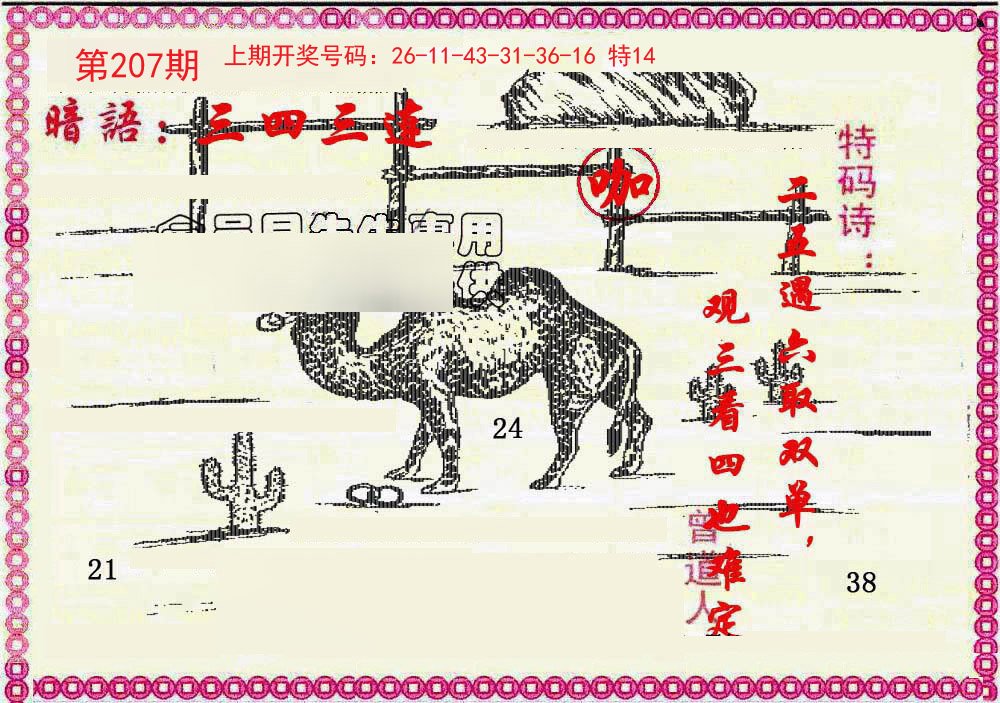 2024207期新暗语报