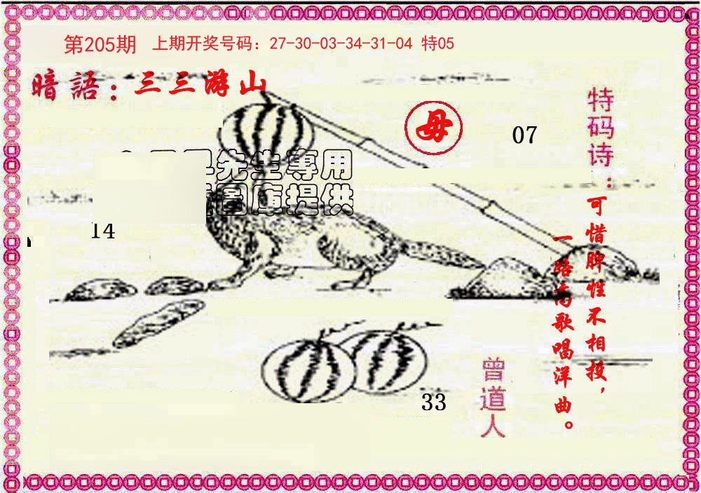 2024205期新暗语报