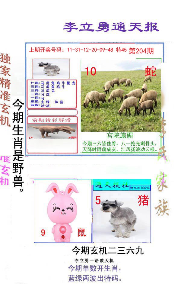 2024204期李立勇通天报
