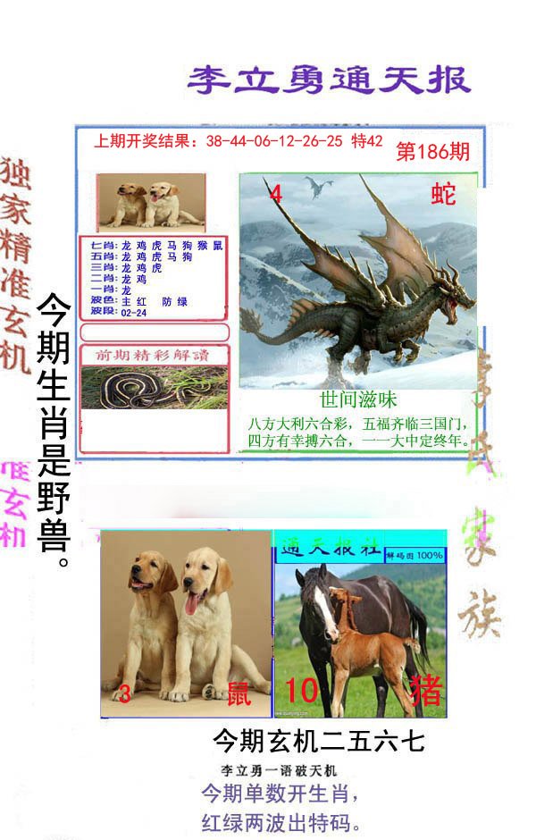 2024186期李立勇通天报
