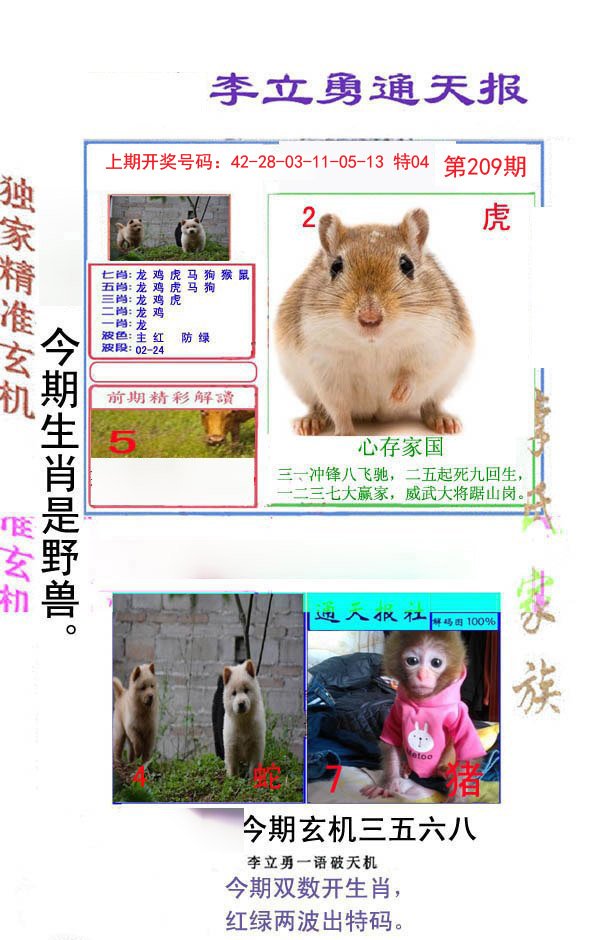 2024209期李立勇通天报