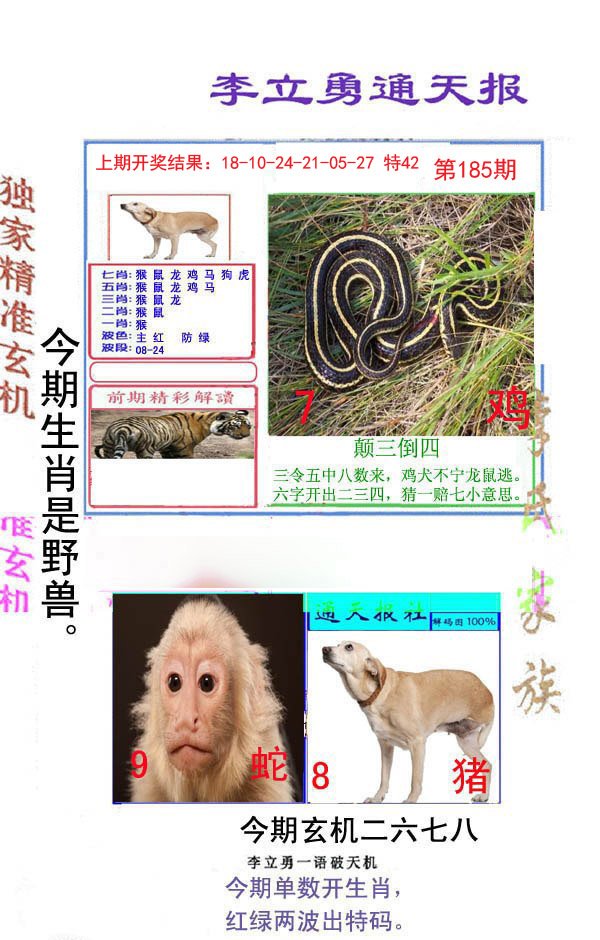 2024185期李立勇通天报