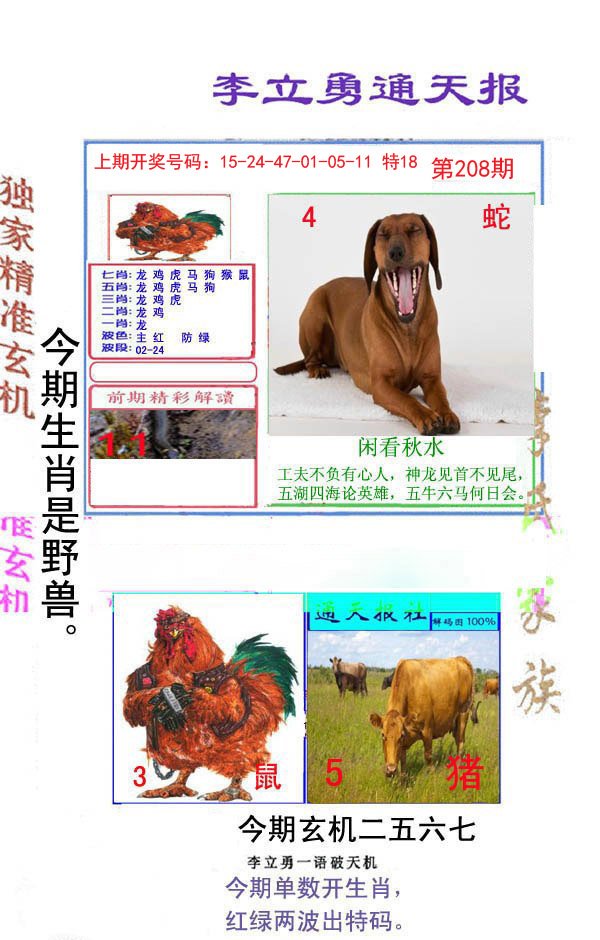 2024208期李立勇通天报