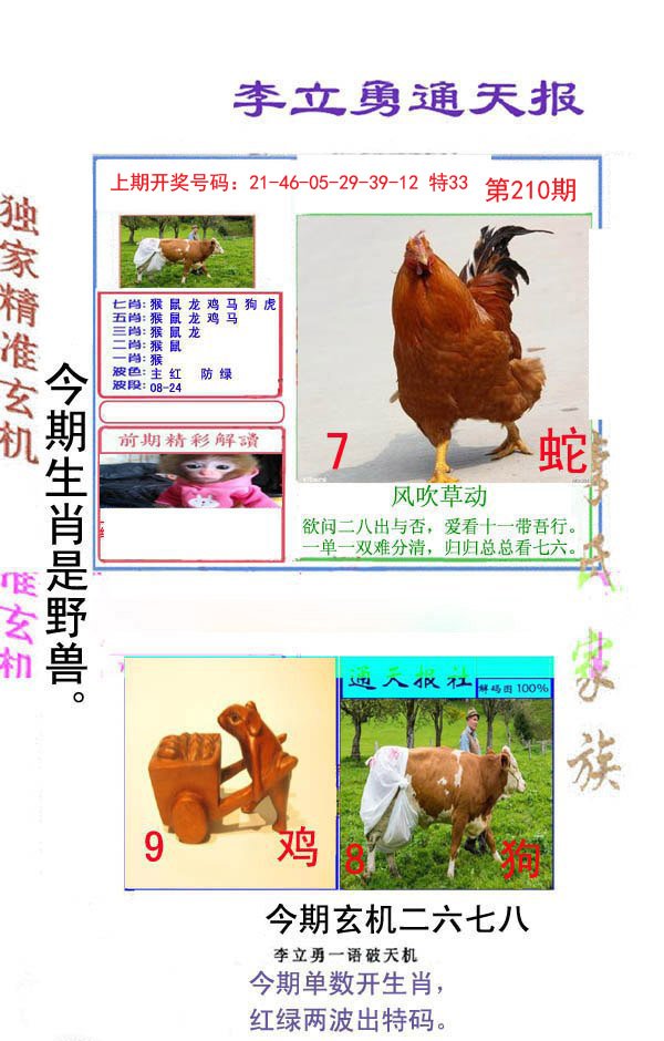 2024210期李立勇通天报