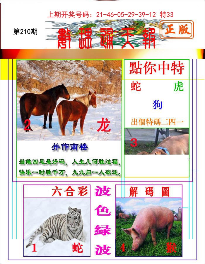 2024210期数理通天