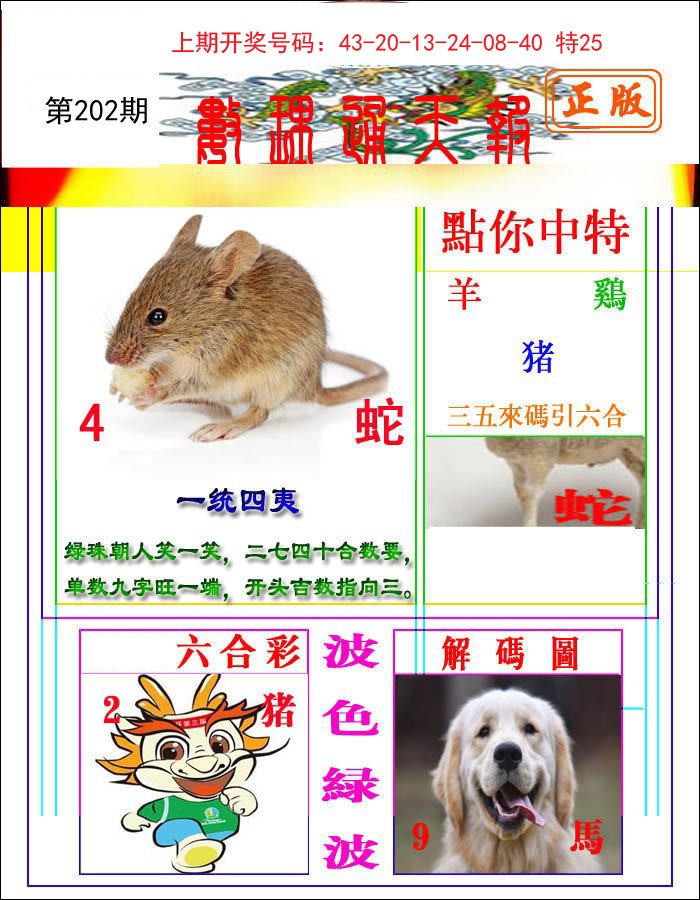 2024202期数理通天