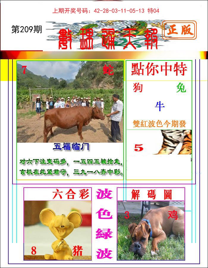 2024209期数理通天