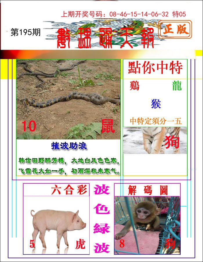 2024195期数理通天