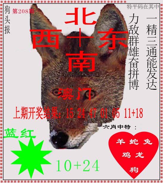 2024208期狗头报