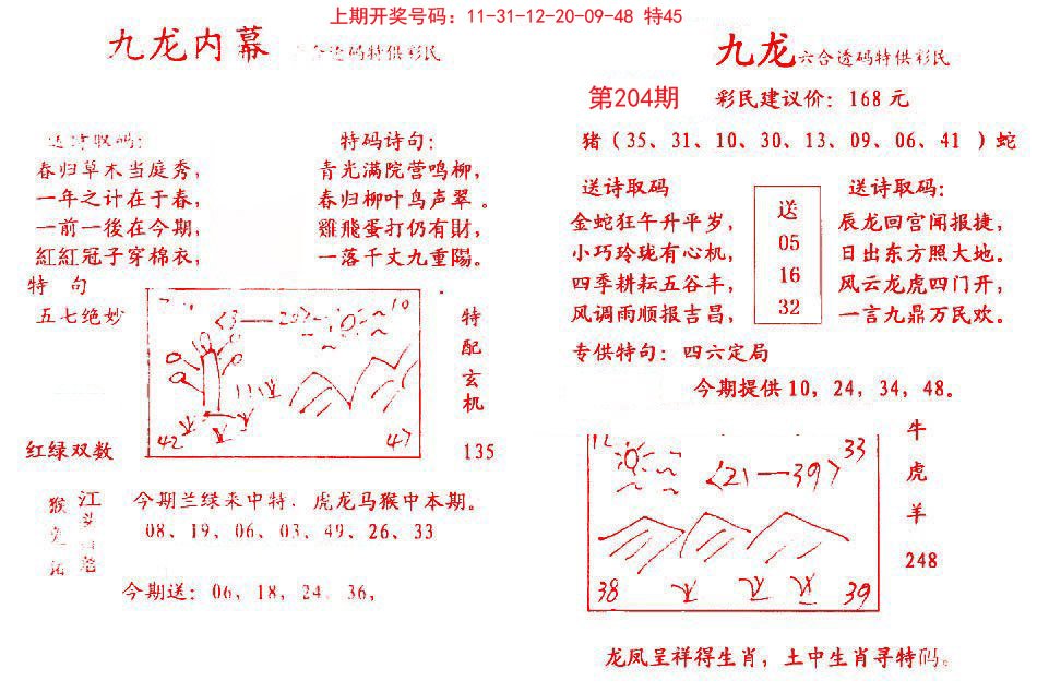 2024204期九龙内幕