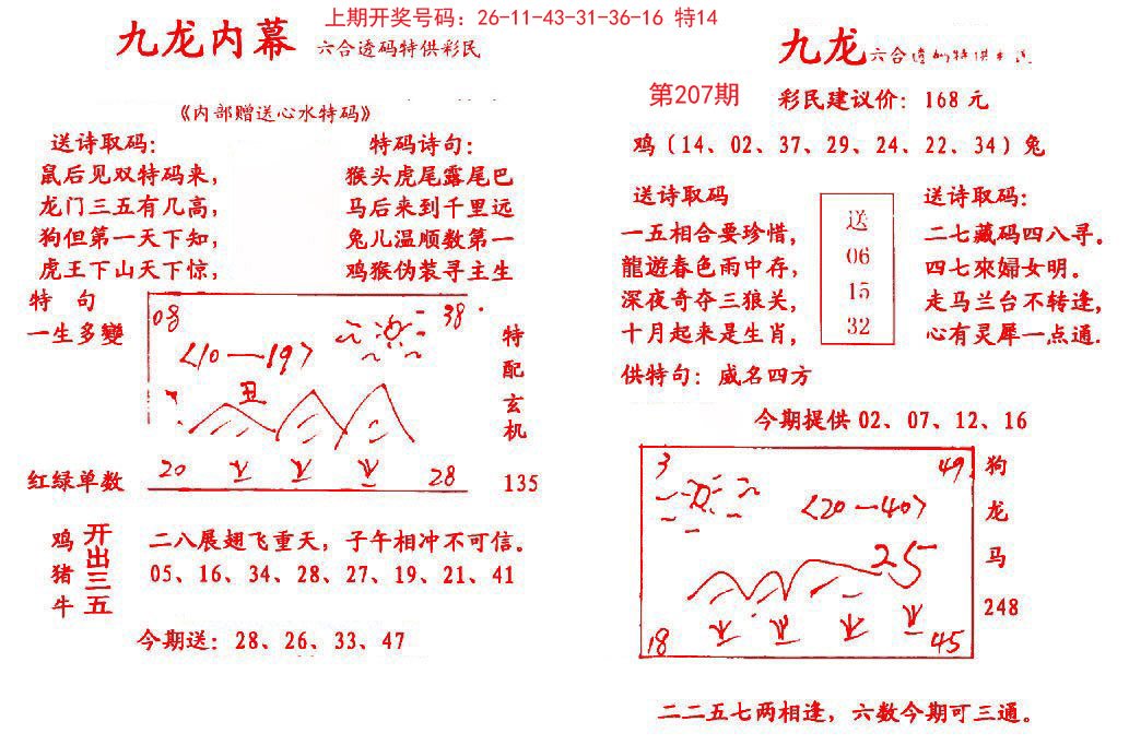 2024207期九龙内幕
