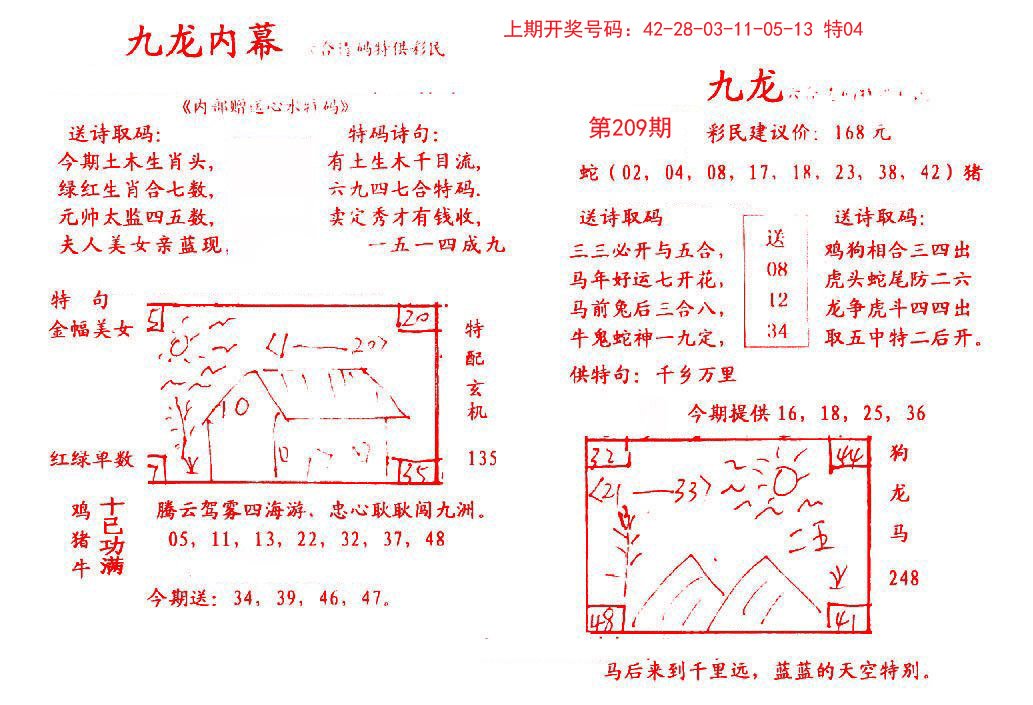 2024209期九龙内幕