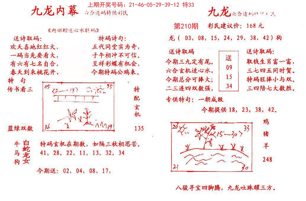 2024210期九龙内幕