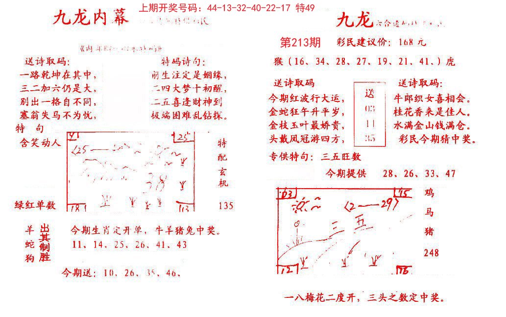 2024213期九龙内幕