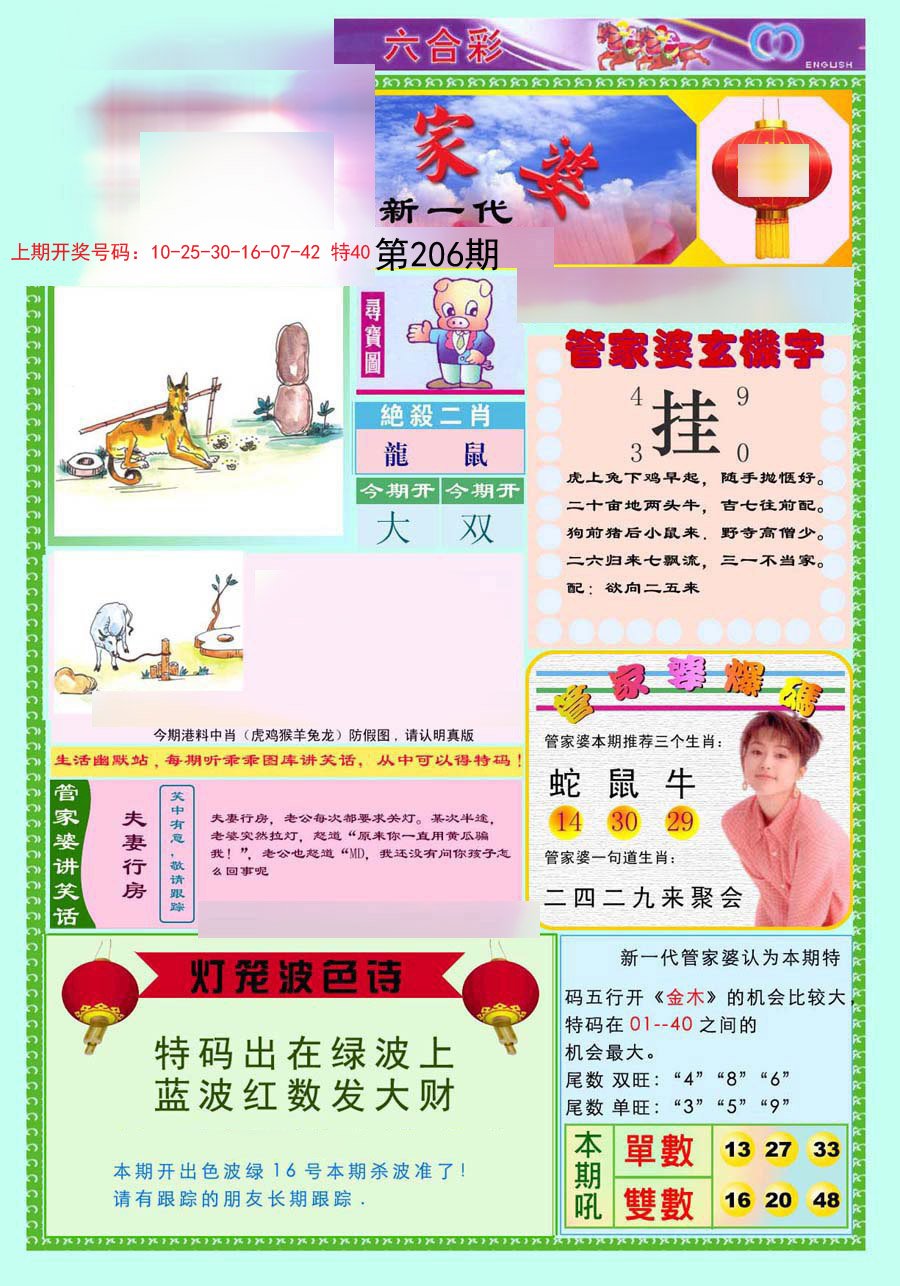 2024206期新一代管家婆
