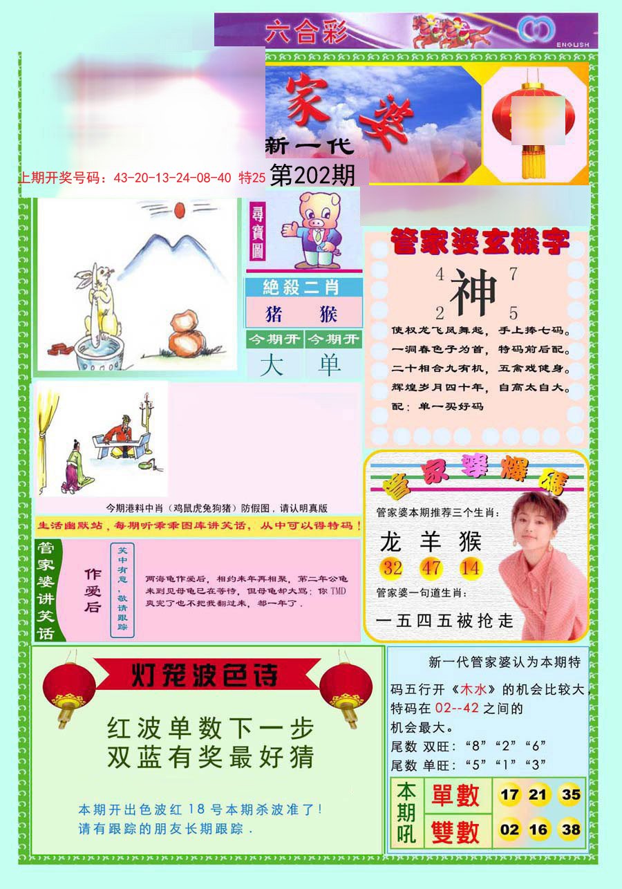 2024202期新一代管家婆