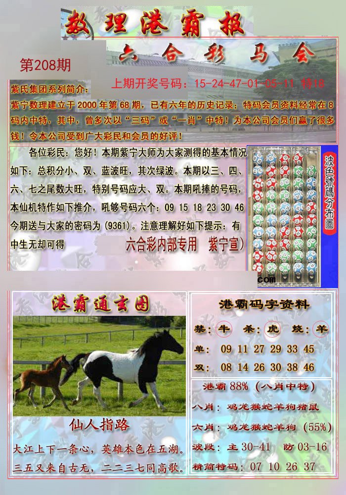 2024208期港霸报