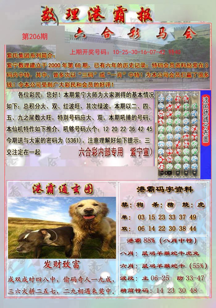 2024206期港霸报