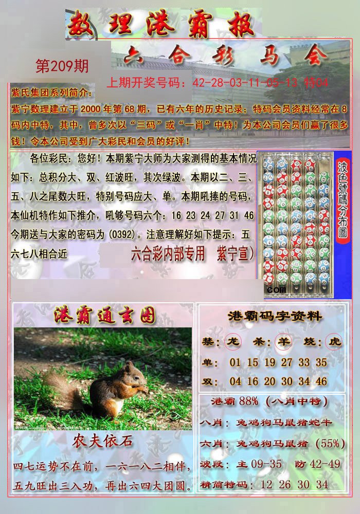 2024209期港霸报