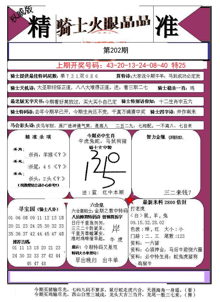 2024202期骑士火眼晶晶a