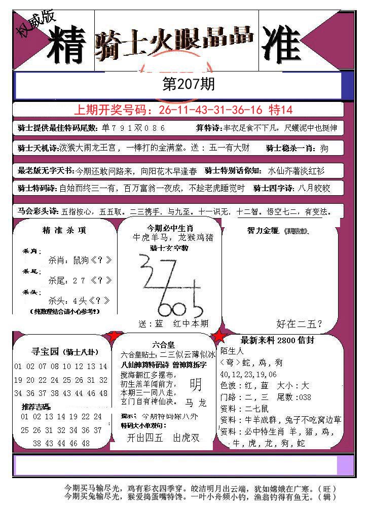 2024207期骑士火眼晶晶a