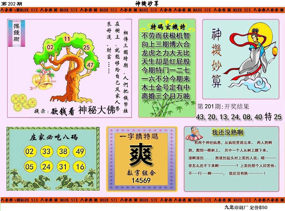2024202期神机妙算