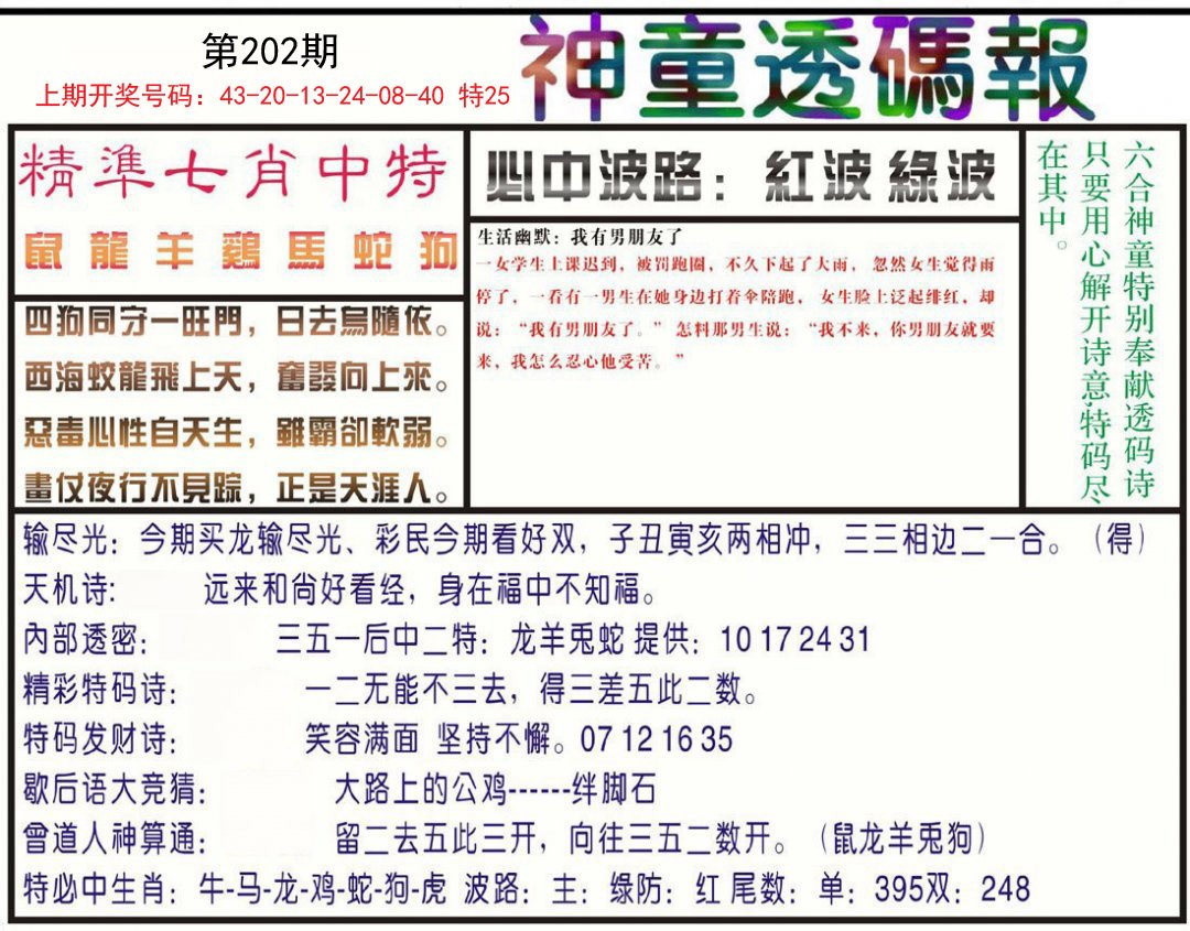 2024202期神童透码报