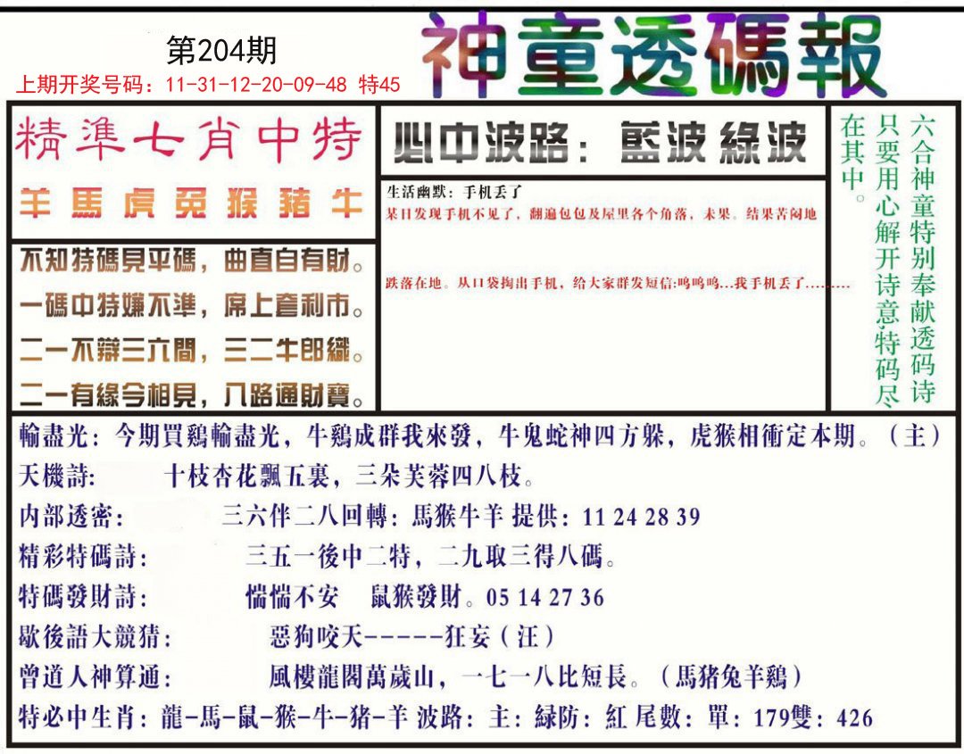 2024204期神童透码报