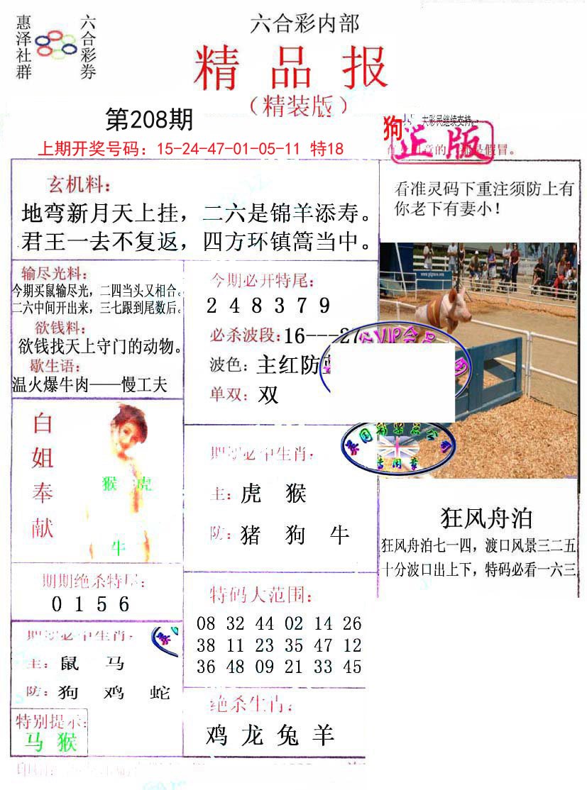 2024208期摇钱树