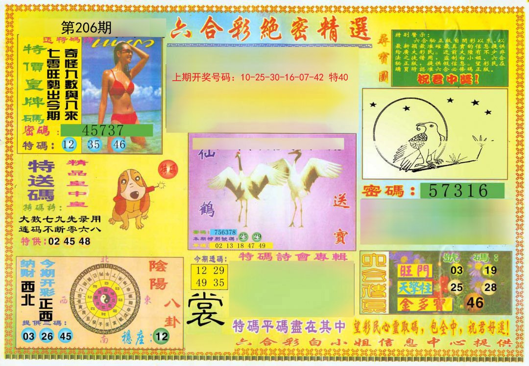 2024206期绝密精选A