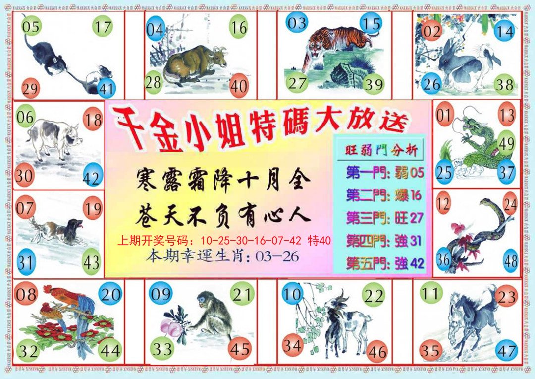2024206期千金小姐B版