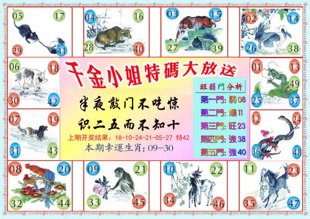 2024185期千金小姐B版