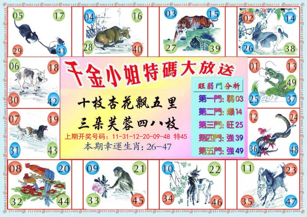2024204期千金小姐B版