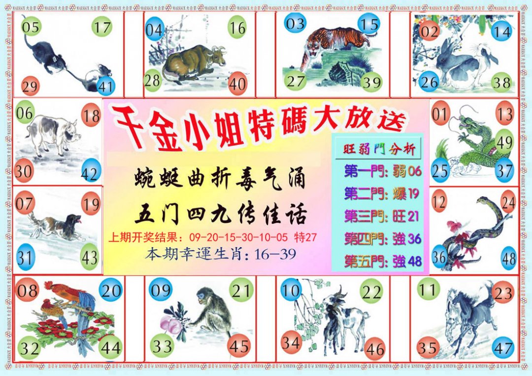 2024183期千金小姐B版