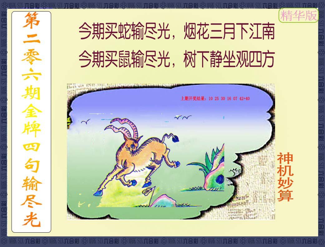 2024206期金牌四句输尽光