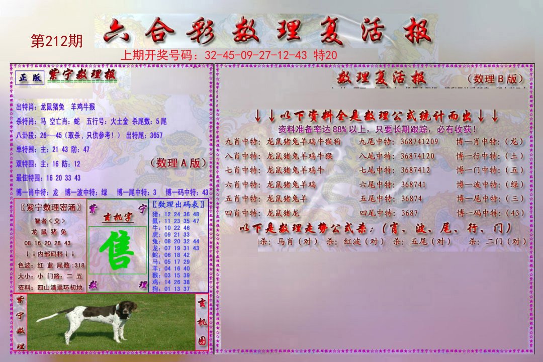 2024212期数理复活报