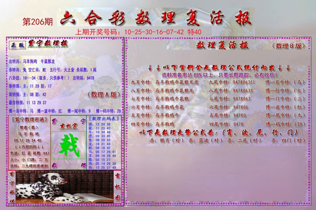 2024206期数理复活报