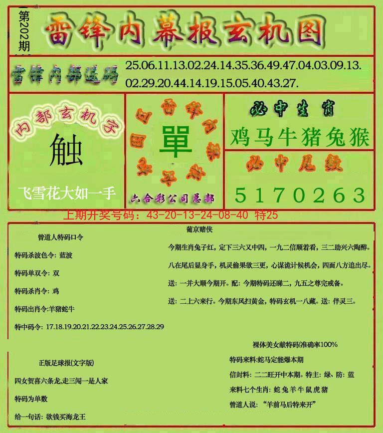 2024202期雷锋玄机报