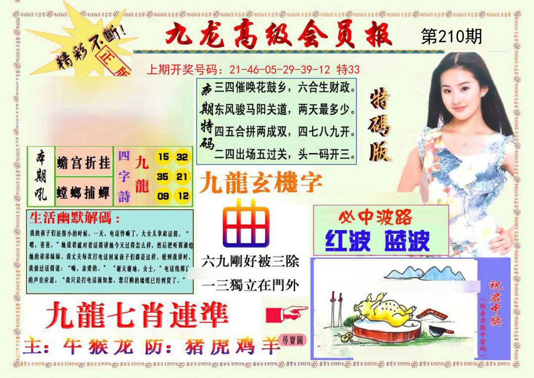 2024210期九龙高级会员报