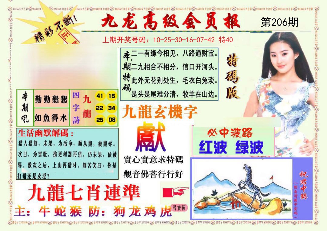 2024206期九龙高级会员报