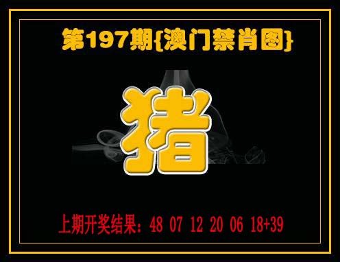2024197期禁一肖