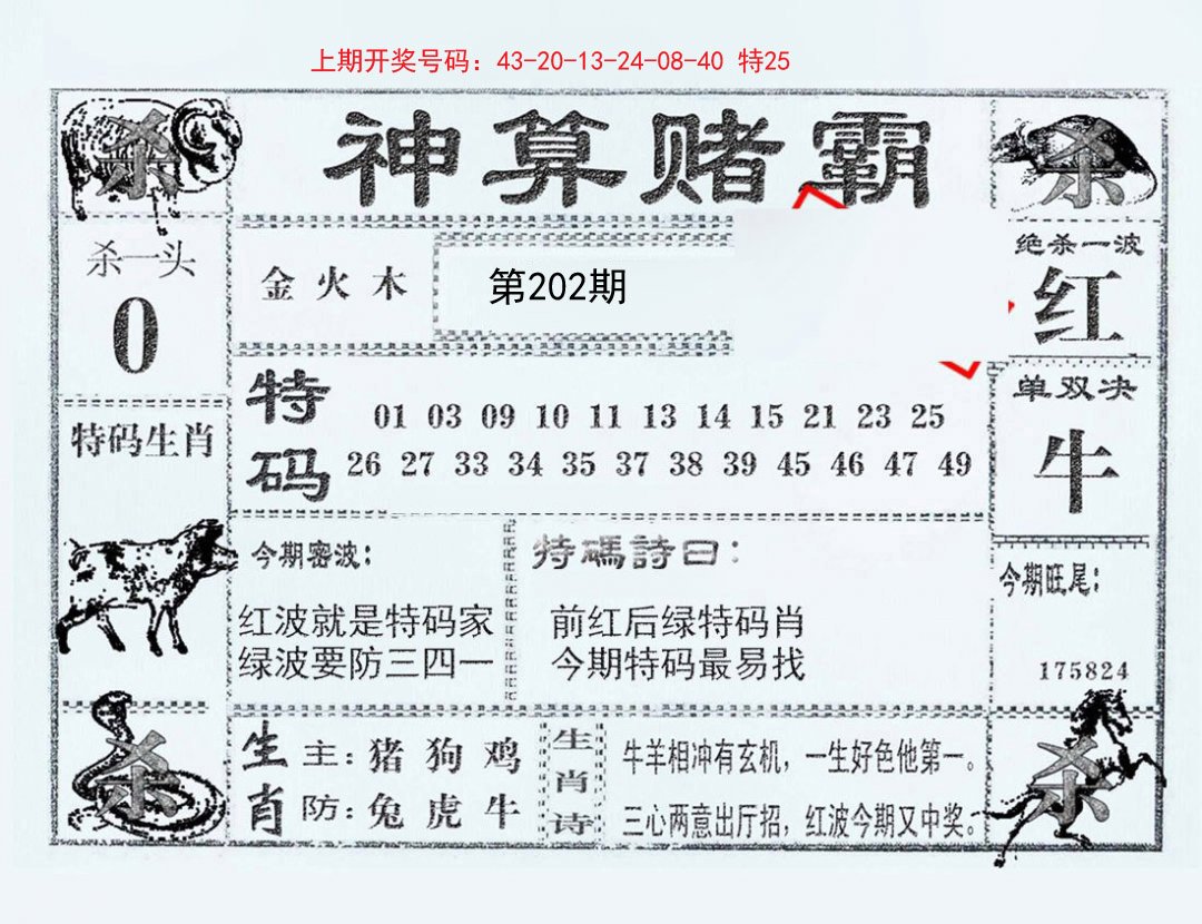 2024202期神算赌霸