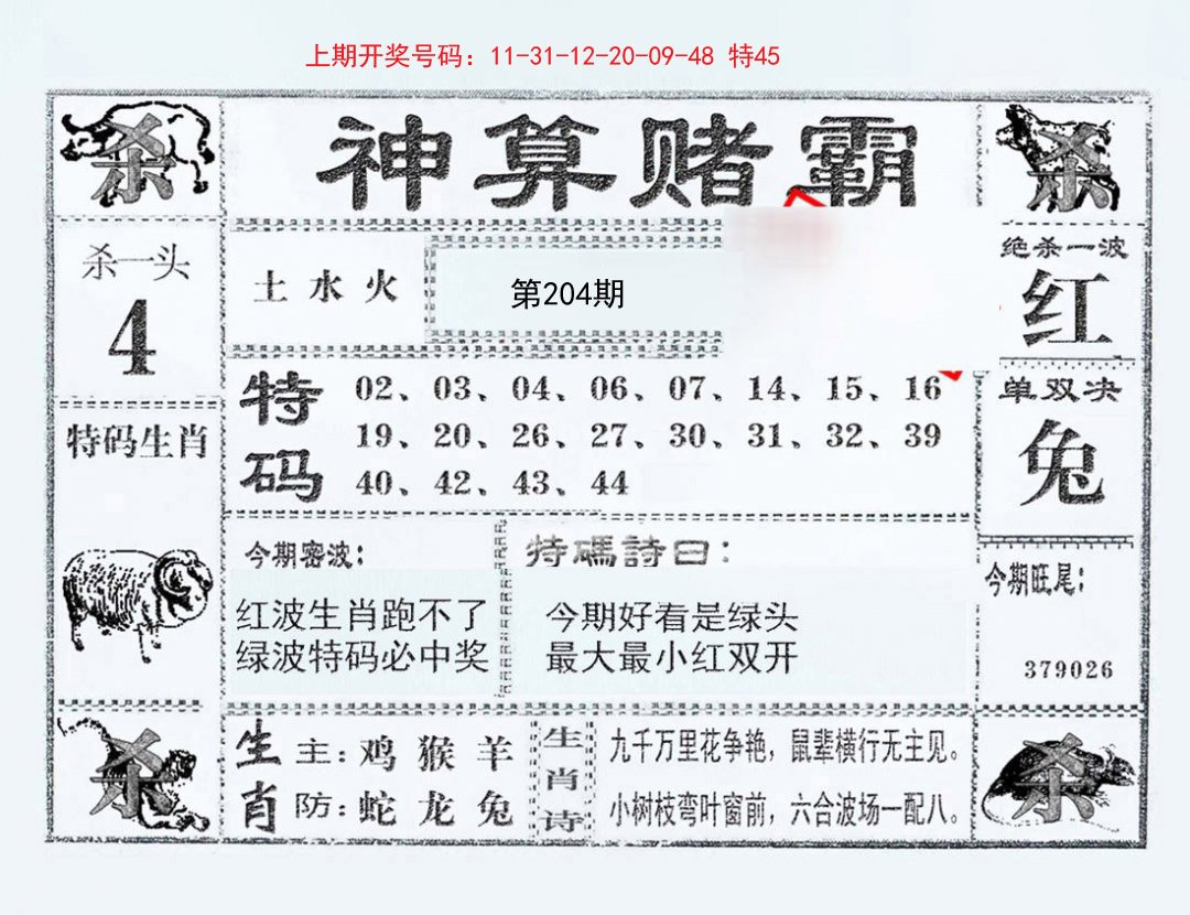 2024204期神算赌霸