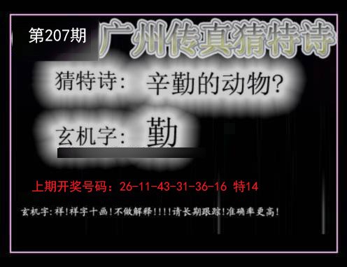 2024207期广州传真猜特诗