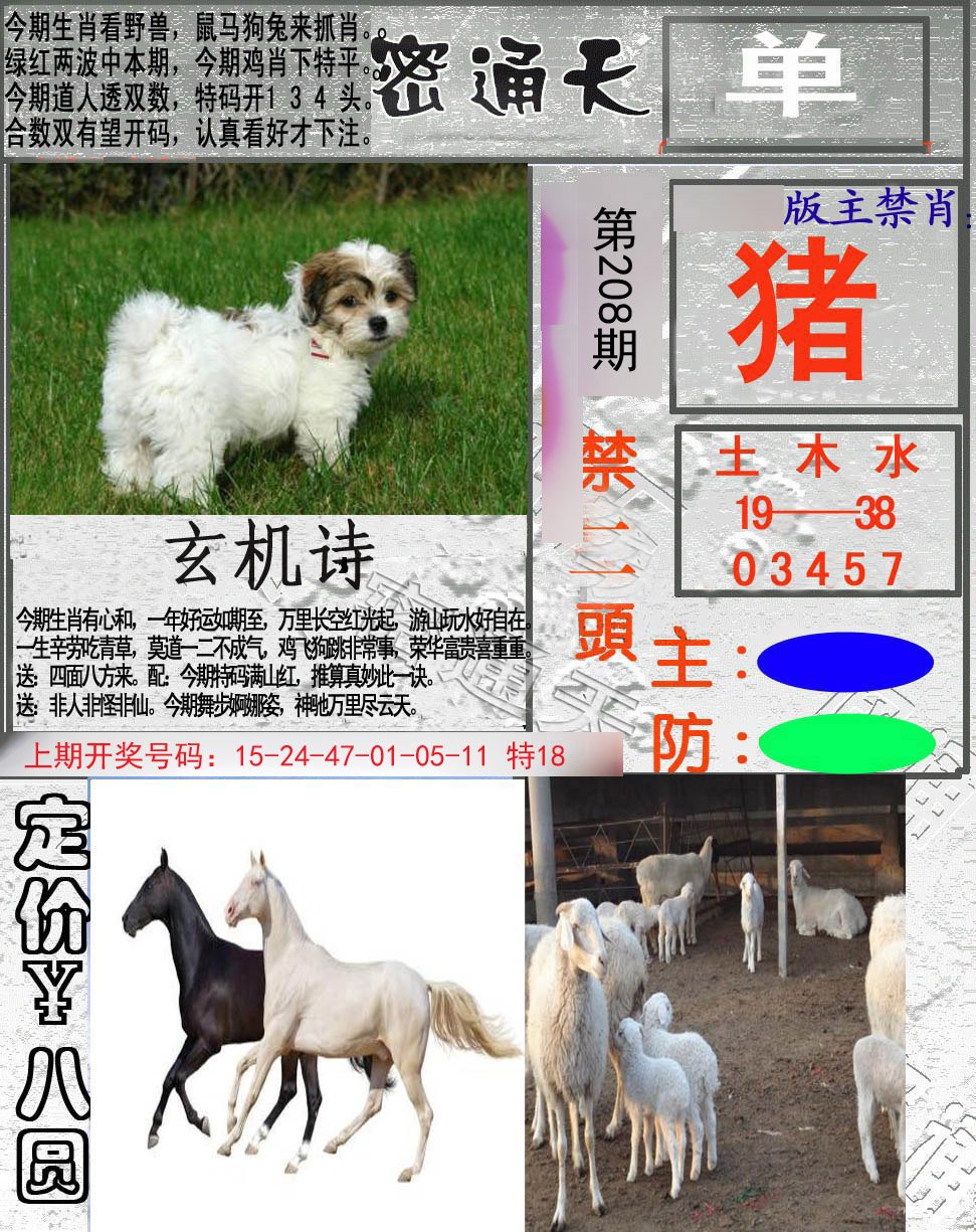 2024208期密通天