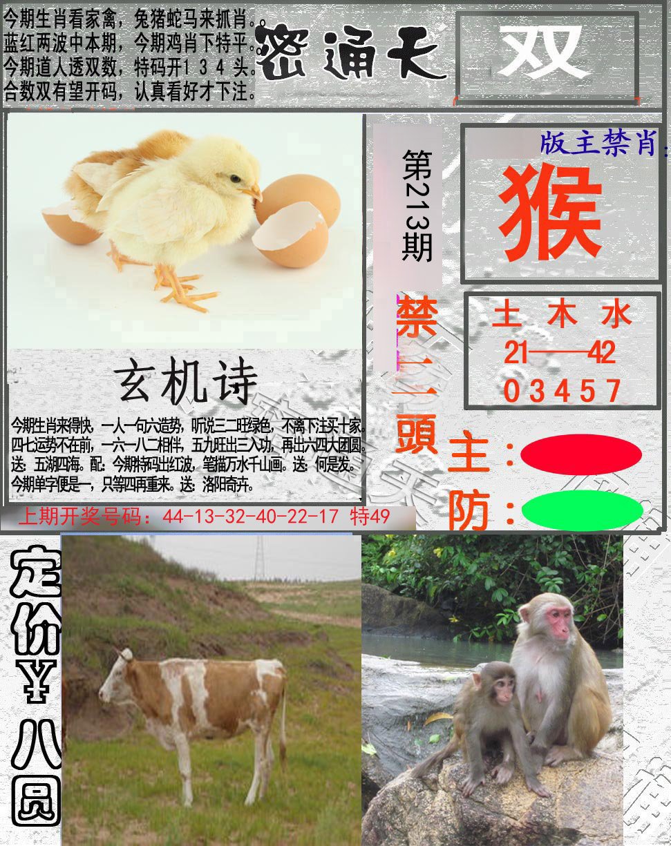 2024213期密通天