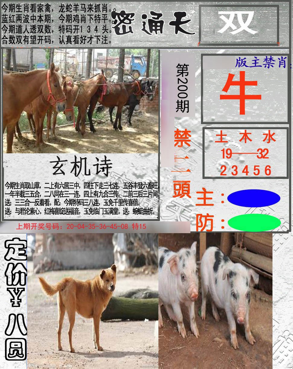 2024200期密通天
