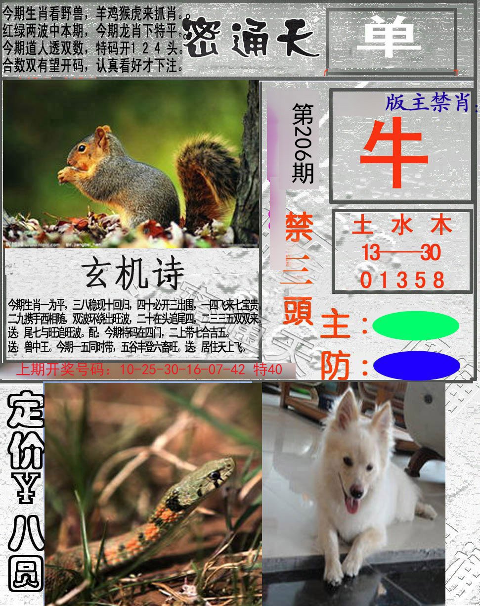 2024206期密通天