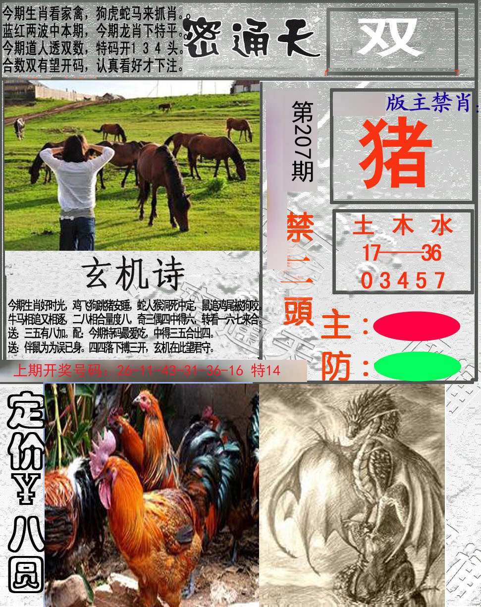 2024207期密通天